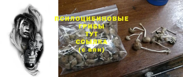 мдпв Верхнеуральск