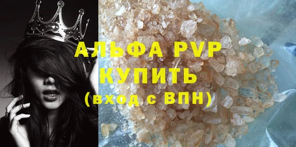 PSILOCYBIN Строитель