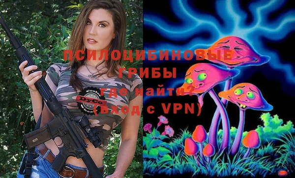 эйфоретик Струнино