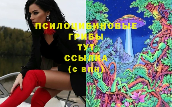 бутират Верхний Тагил