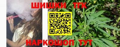 индика Ростов Великий