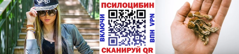Псилоцибиновые грибы Cubensis  закладки  Северобайкальск 